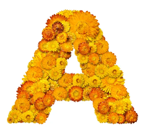 Brieven van alfabet van bloemen — Stockfoto