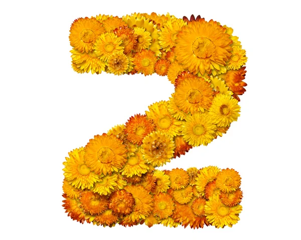 Číslo od žluté a oranžové květy — Stock fotografie