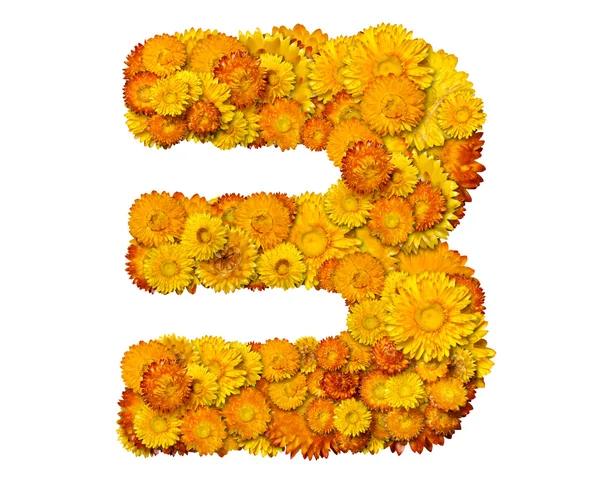 Numer z żółte i pomarańczowe kwiaty — Zdjęcie stockowe
