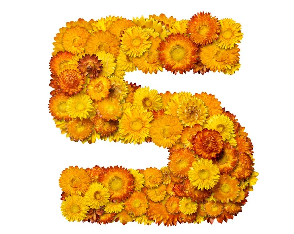 Sarı ve turuncu çiçekler arasında sayı — Stok fotoğraf