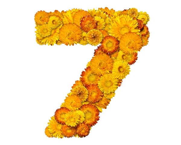 Número de flores amarillas y naranjas —  Fotos de Stock
