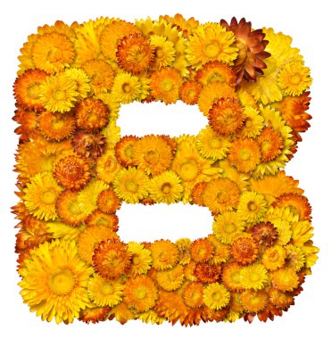 Letters from alphabet from flowers clipart