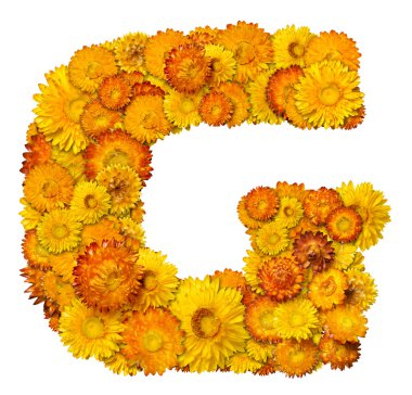 Letters from alphabet from flowers clipart