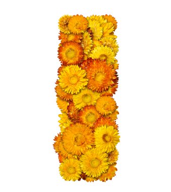 Letters from alphabet from flowers clipart