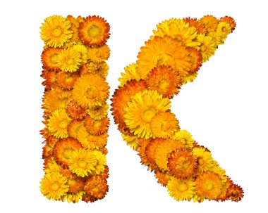 Sarı ve turuncu çiçekleri gelen alfabe