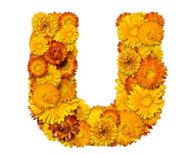 Letters from alphabet from flowers clipart