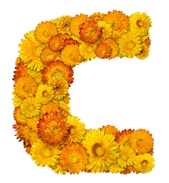 Cartas del alfabeto de las flores —  Fotos de Stock