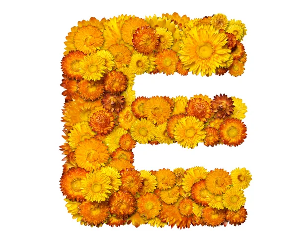 Letters from alphabet from flowers — Stock Photo, Image