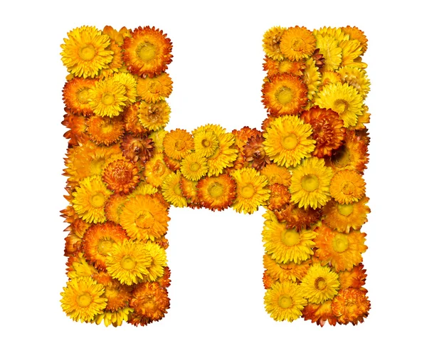 Letras do alfabeto das flores — Fotografia de Stock