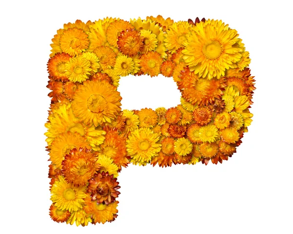 Alphabet from yellow and orange flowers — Stock Photo, Image