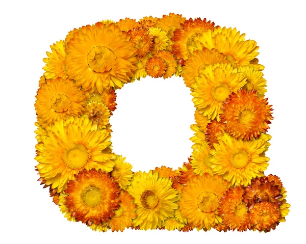 Alfabeto de flores amarillas y anaranjadas — Foto de Stock