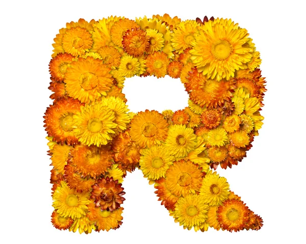 Alphabet from yellow and orange flowers — Stock Photo, Image