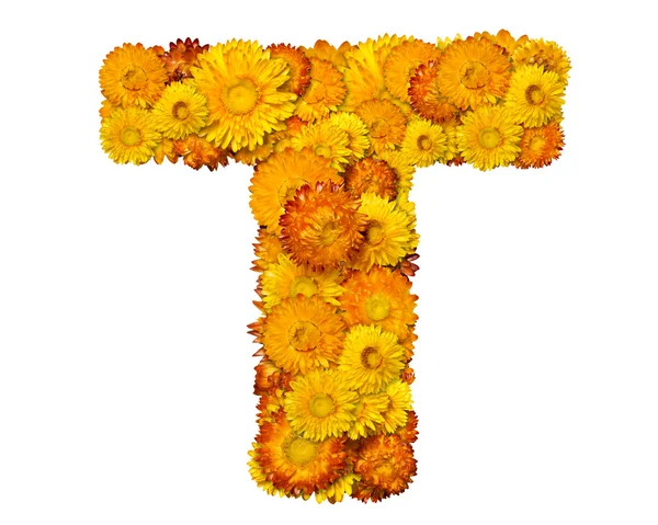 Písmena abecedy od květy — Stock fotografie