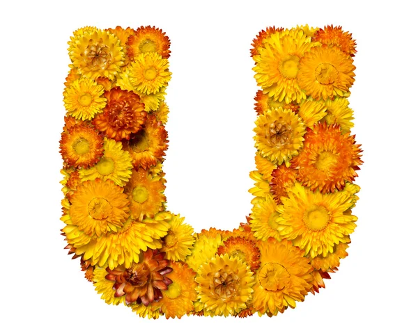 Cartas del alfabeto de las flores — Foto de Stock
