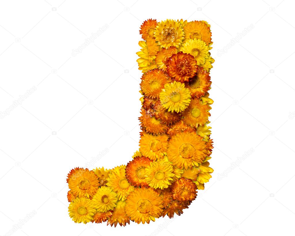 Alphabet from yellow and orange flowers