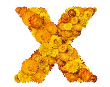 Letters from alphabet from flowers clipart