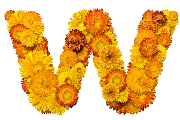 Alfabe çiçekleri gelen mektuplar — Stok fotoğraf