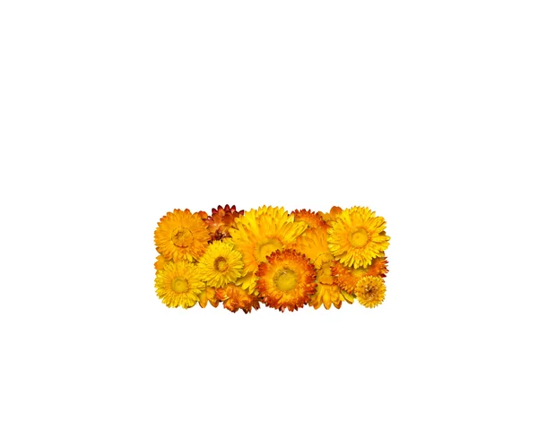 Alfabeto de flores amarelas e laranja — Fotografia de Stock