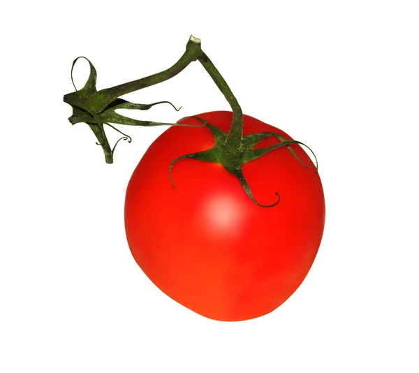 Czerwony pomidor pojedynczy — Zdjęcie stockowe