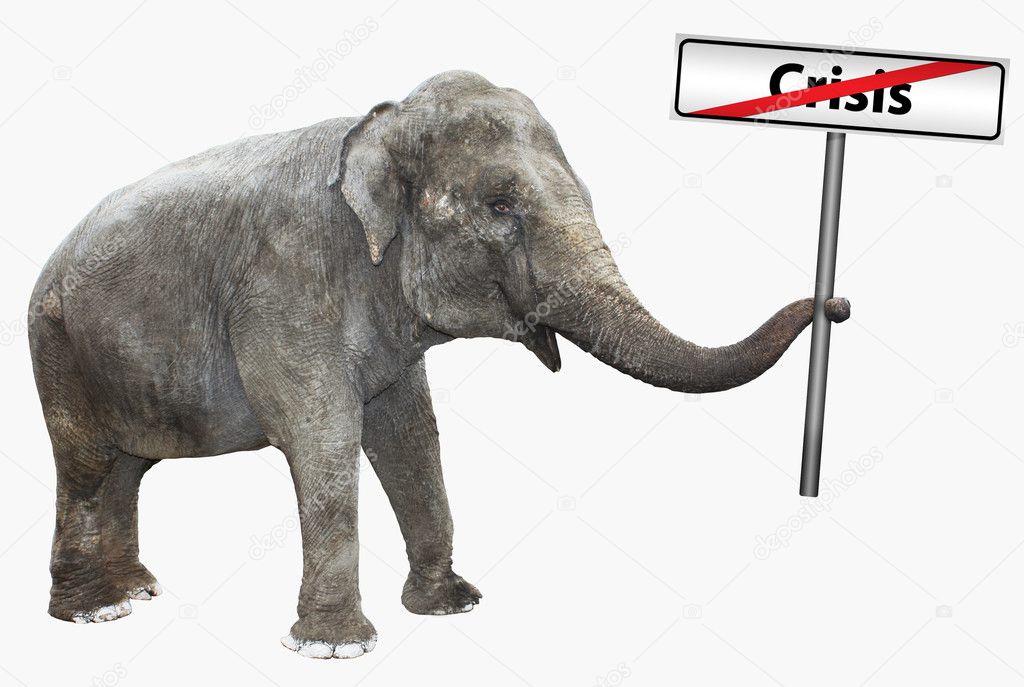 Isolated elephant and road sign
