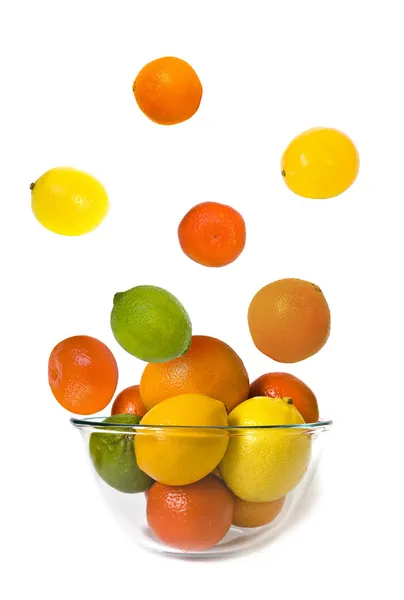 Bowl of fly citrus — Stock Photo, Image