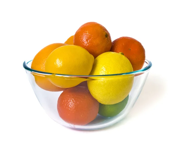 Miska owoców cytrusowych — Zdjęcie stockowe