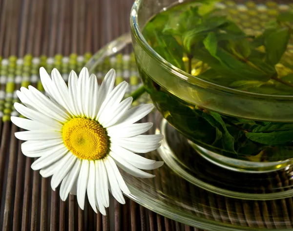 Taza de té de hierbas y manzanilla —  Fotos de Stock