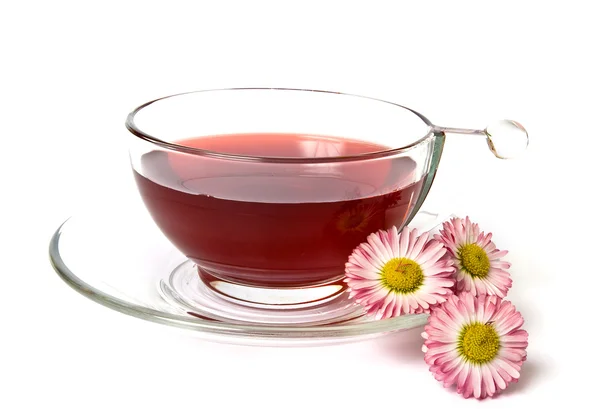 Kopp te och daisys — Stockfoto