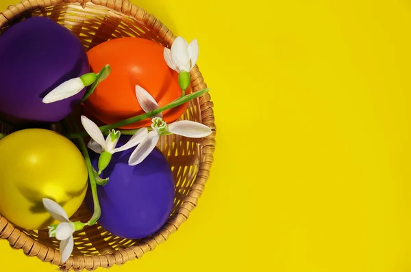 Великоднє свято. Колір яєць у лотку — стокове фото