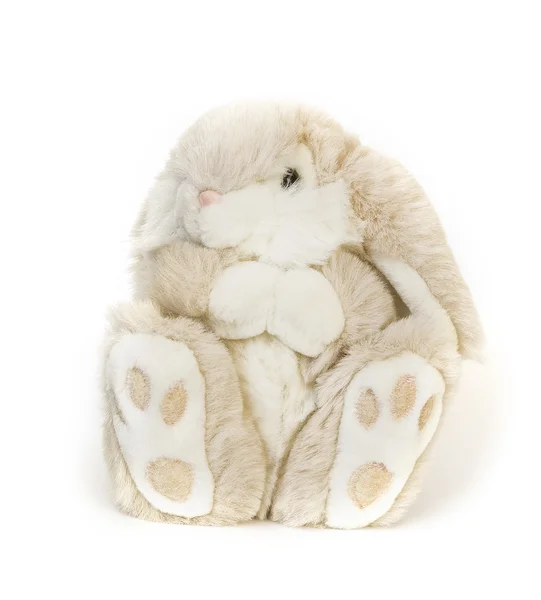 Fluffy toy hare — Stock Photo, Image