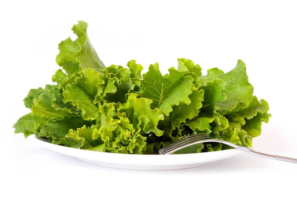 Lettuce on a white plate — Stock Photo, Image
