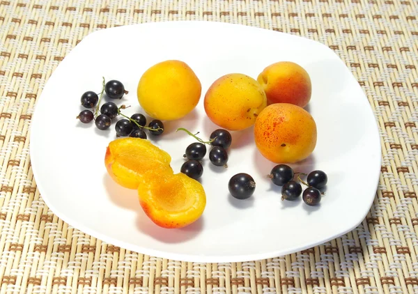 Aprikoser och vinbär på en tallrik — Stock fotografie