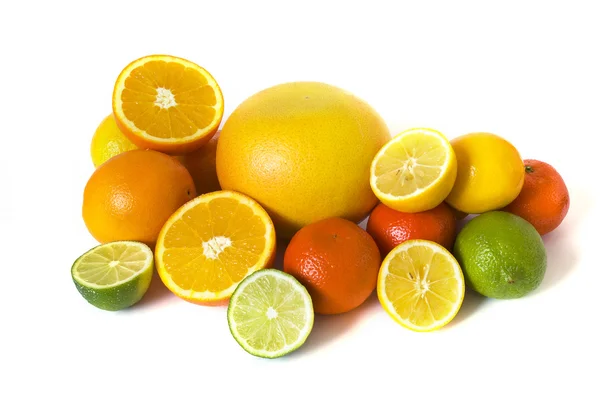 大的各种各样的柑橘 — 图库照片