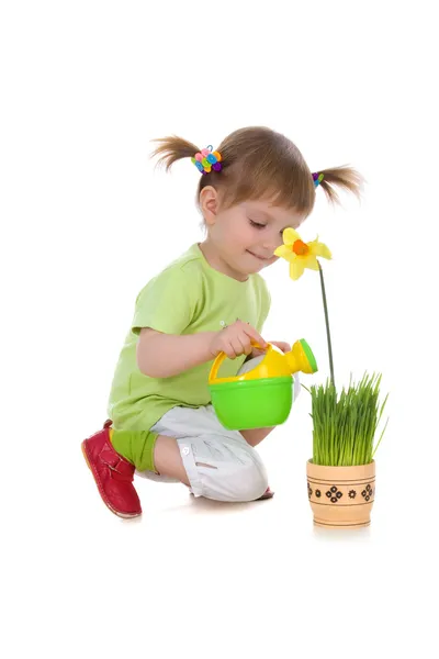 Милая девушка поливает цветок — стоковое фото