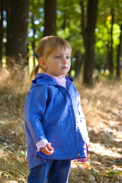 Küçük kız sonbahar ormanda yürür — Stok fotoğraf