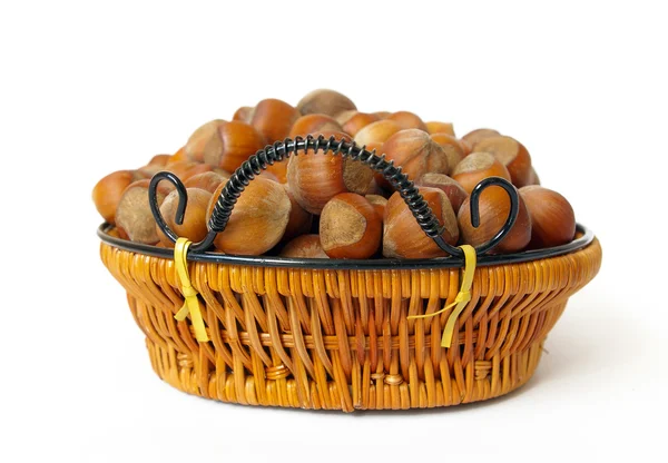Wood nuts on white — Stock Photo, Image
