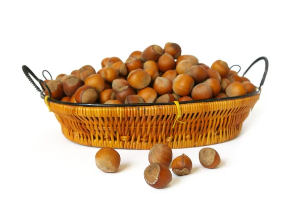 Dřevo ořechy na bílém pozadí — Stock fotografie