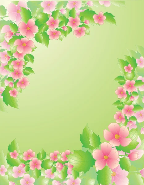 緑の花のフレーム — ストックベクタ