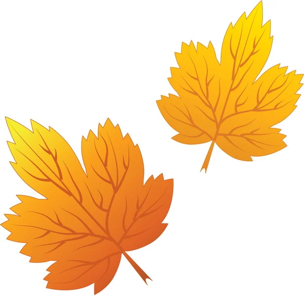 秋の植物 — ストックベクタ