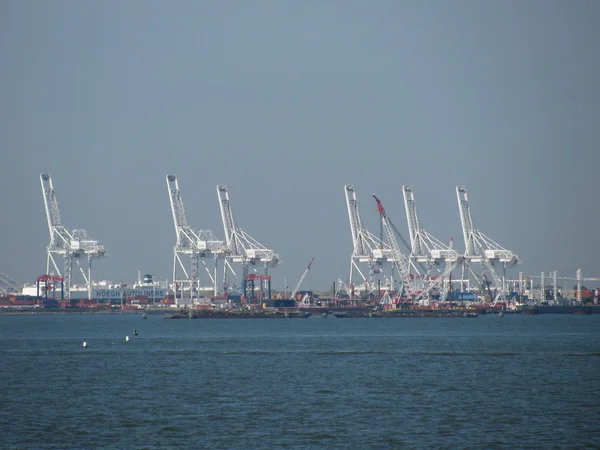 Trading port cranes — Stock Photo, Image