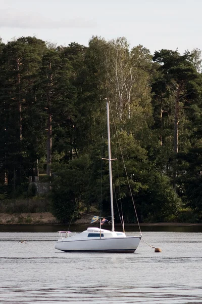 Sailboat on the forest lake — Zdjęcie stockowe