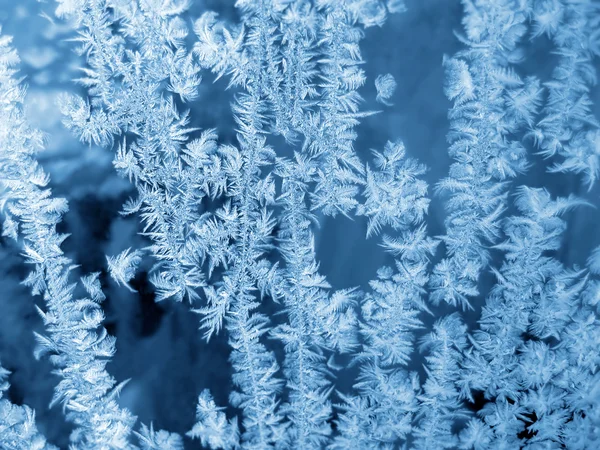 Blaues frostiges natürliches Muster — Stockfoto