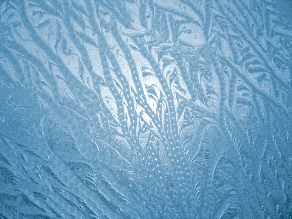 Frostiga naturliga mönster — Stockfoto