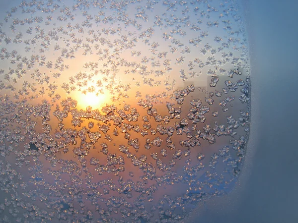 霜と太陽 — ストック写真