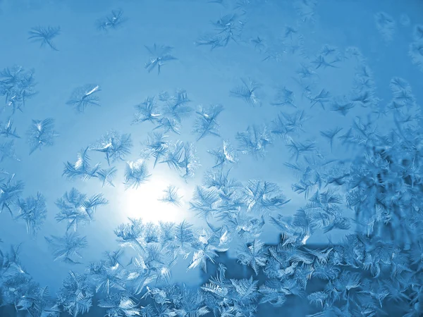 Frost und Sonne — Stockfoto