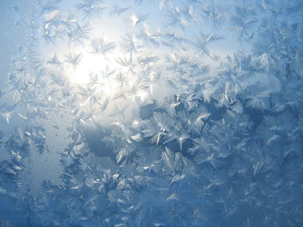 Frost ve güneş — Stok fotoğraf