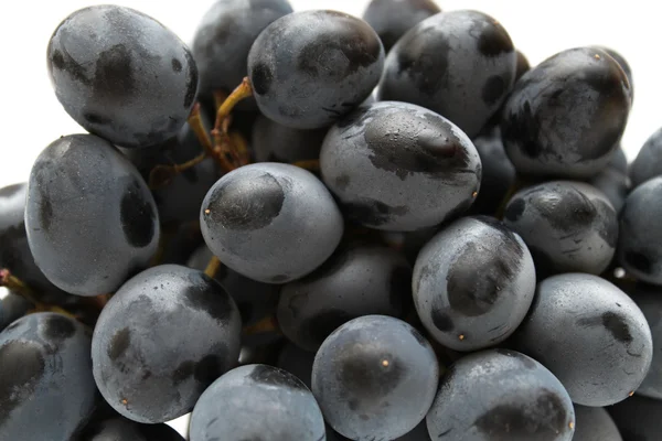 Gros plan de la grappe de raisins — Photo