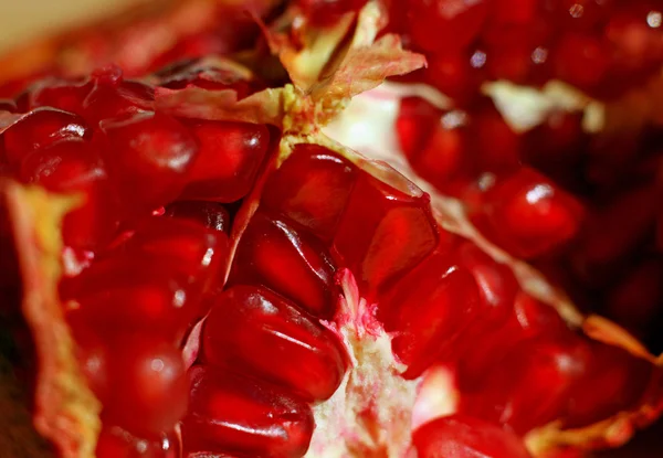 Pomegranate background — Stock Photo, Image