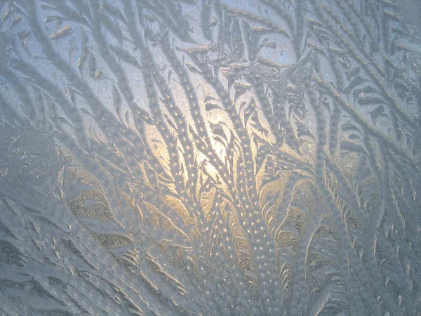 Frosty natural pattern — Stock Photo, Image