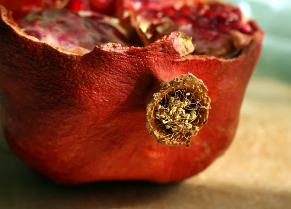 Close-up of cut pomegranate fruit — Stock Photo, Image